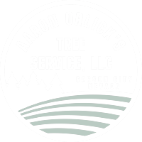 Aaron Orlicks Tree Service LLC Full Colorw