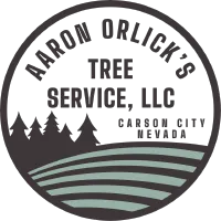 Aaron Orlicks Tree Service LLC Full Color